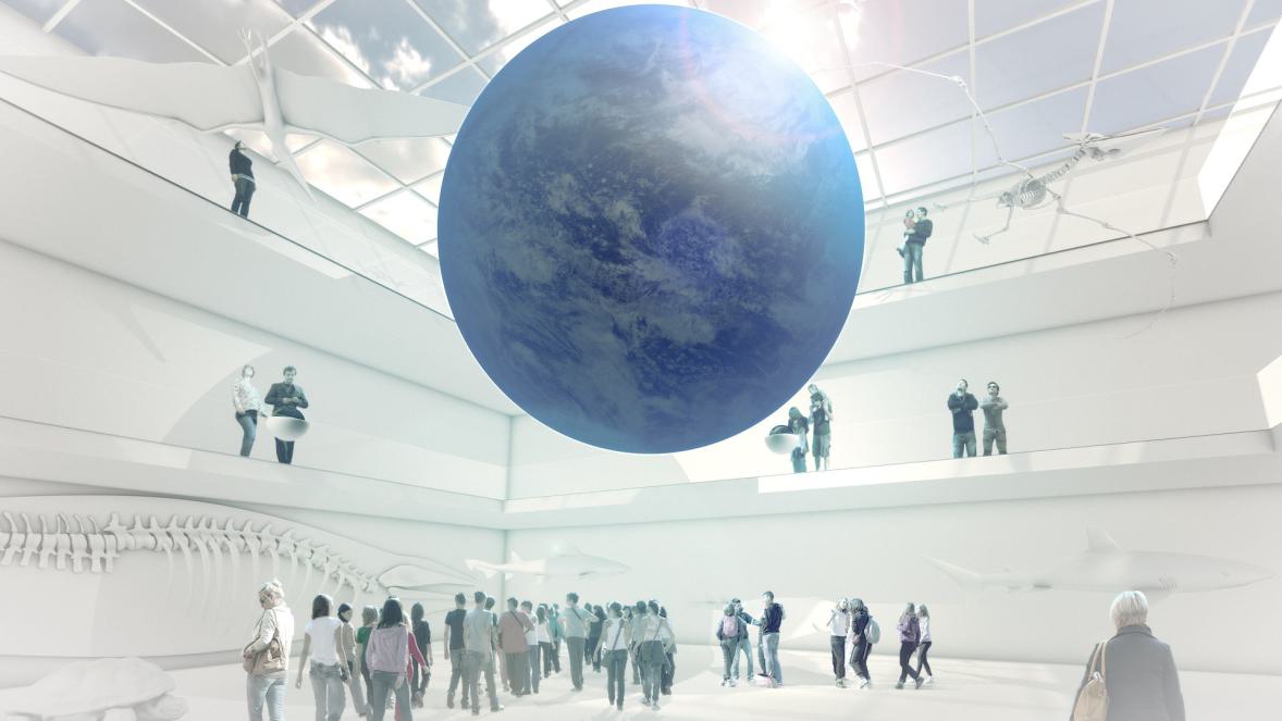 Projekt Senckenberg 2020
